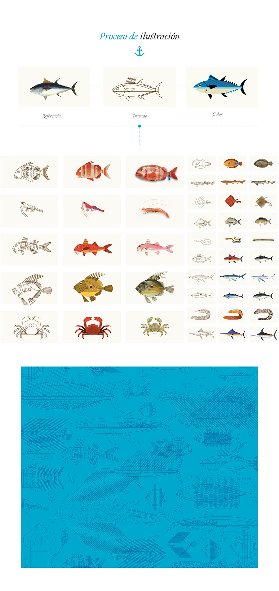 Proceso ilustración peces