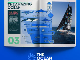 Hemos trabajado para la regata The Ocean Race 2023 en diferentes proyectos de diseño Gráfico e Ilustración desde Cádiz